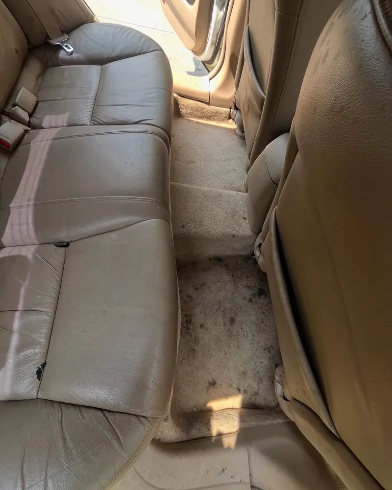 Dirty rear leather seat before detail