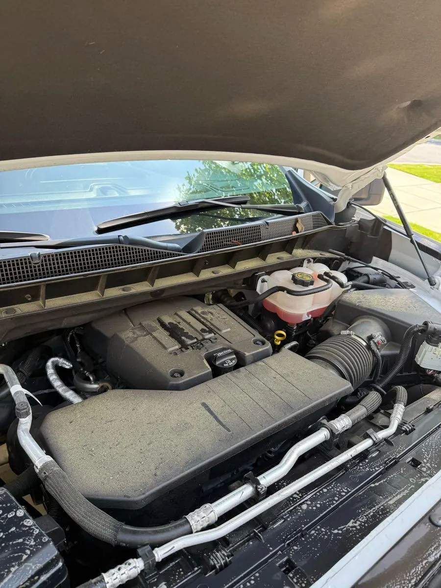 Engine bay before Xavier's detail